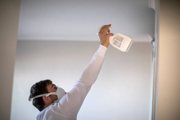Best Localized Mold Remediation (e.g., coastal areas, humid climates) in Hiram, OH