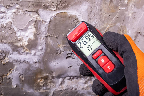 Best Attic Mold Remediation in Hiram, OH
