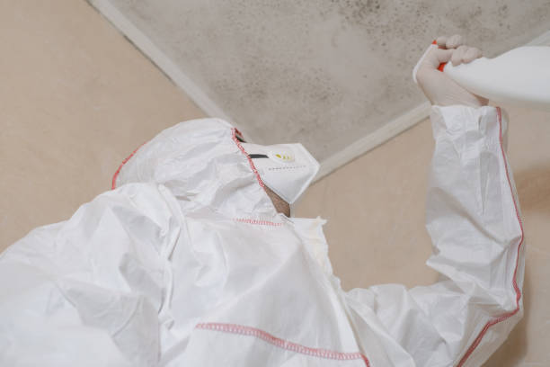 Best Health and Safety Mold Remediation in Hiram, OH